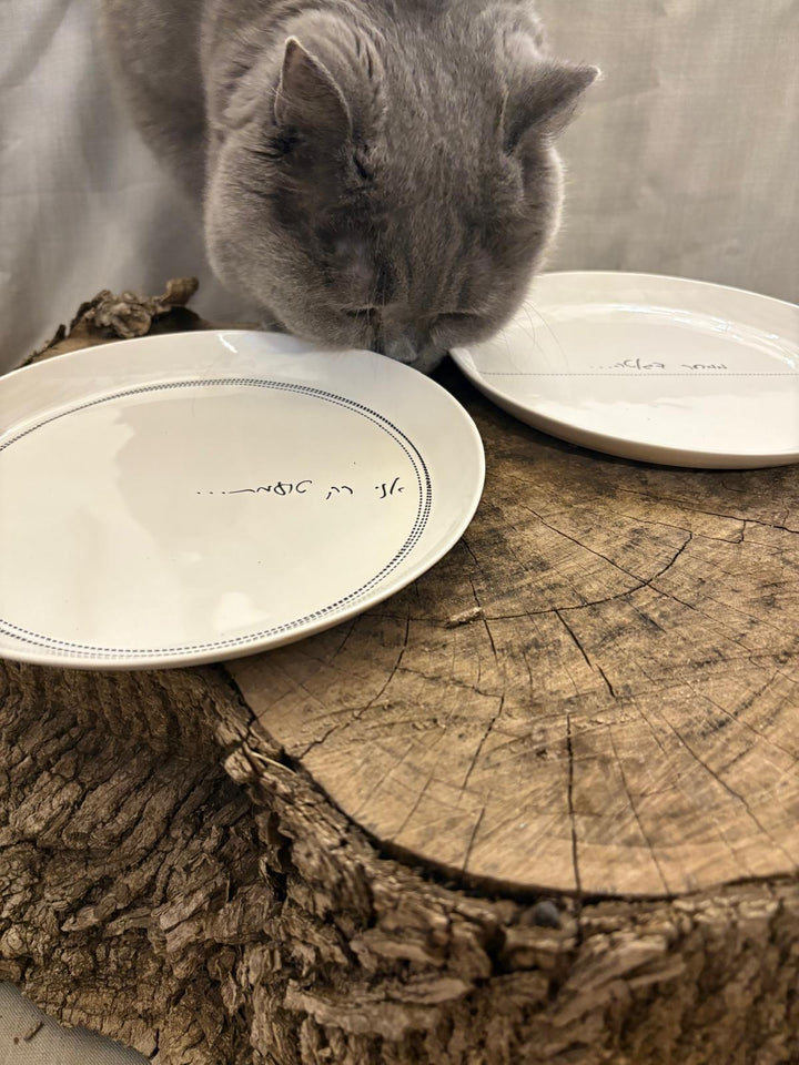 MASKIT X STAIN PLATES 2025