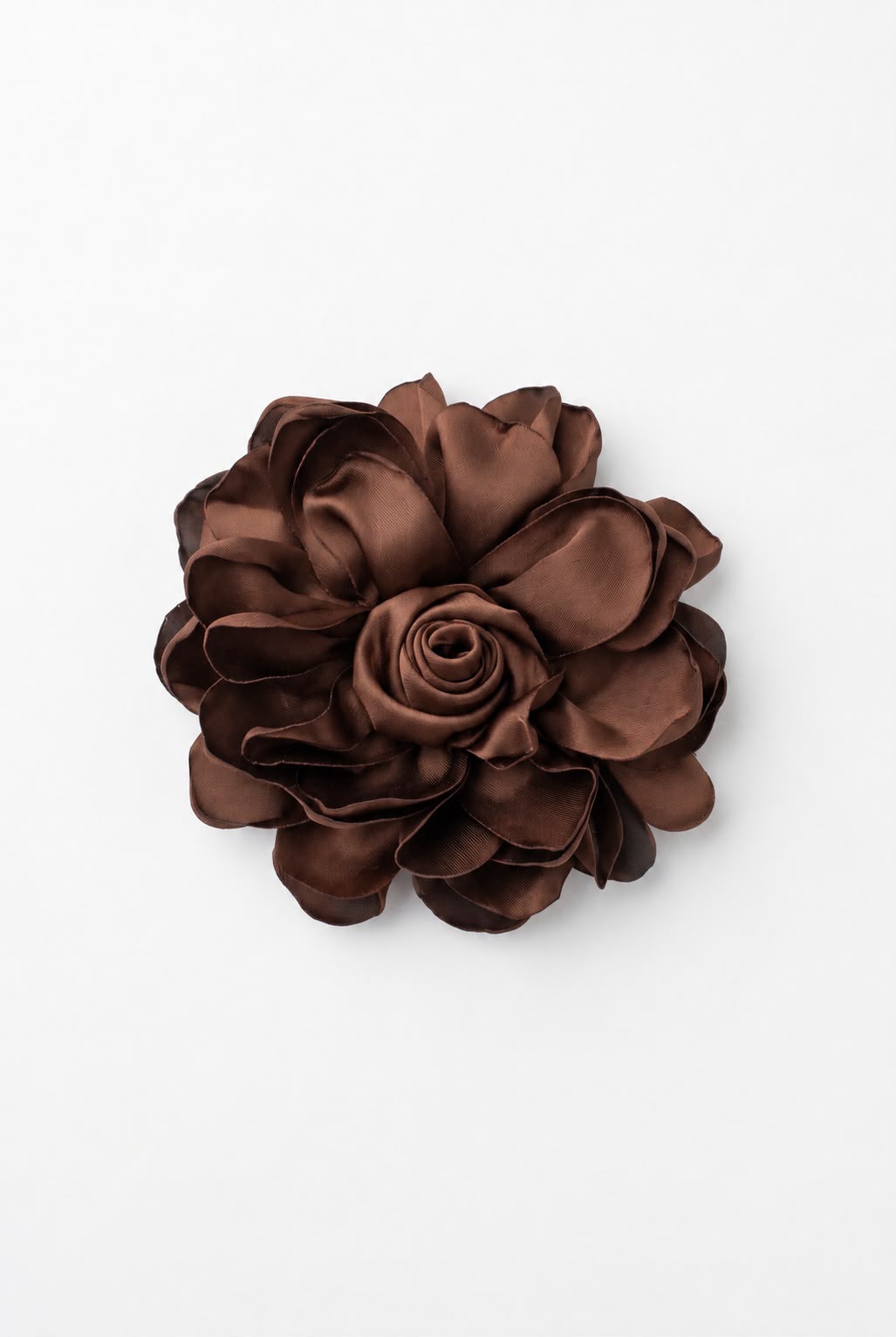 Camelia Flower Brown
